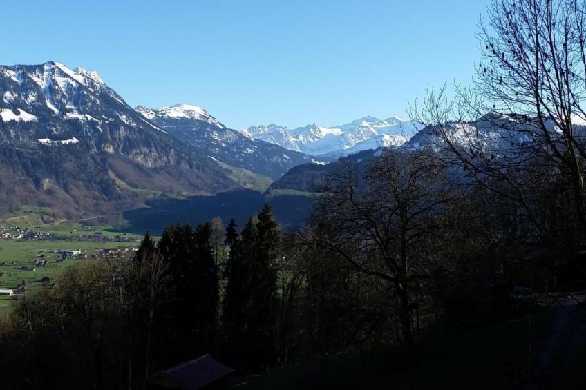 Chalet Hüsli - foto 5