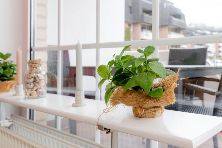 Koje Wassersleben - foto 18