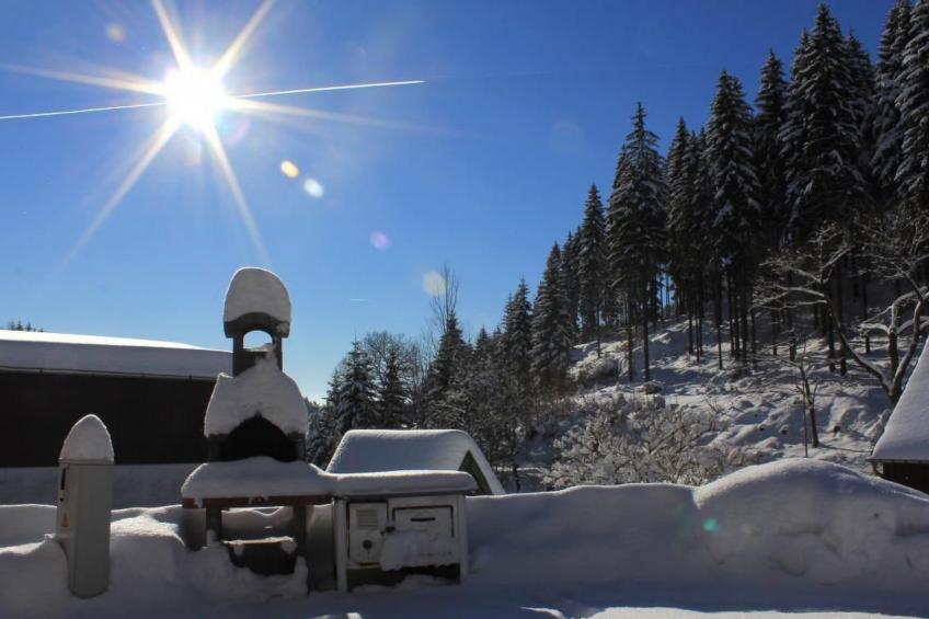 FW Steindöbra - foto 16