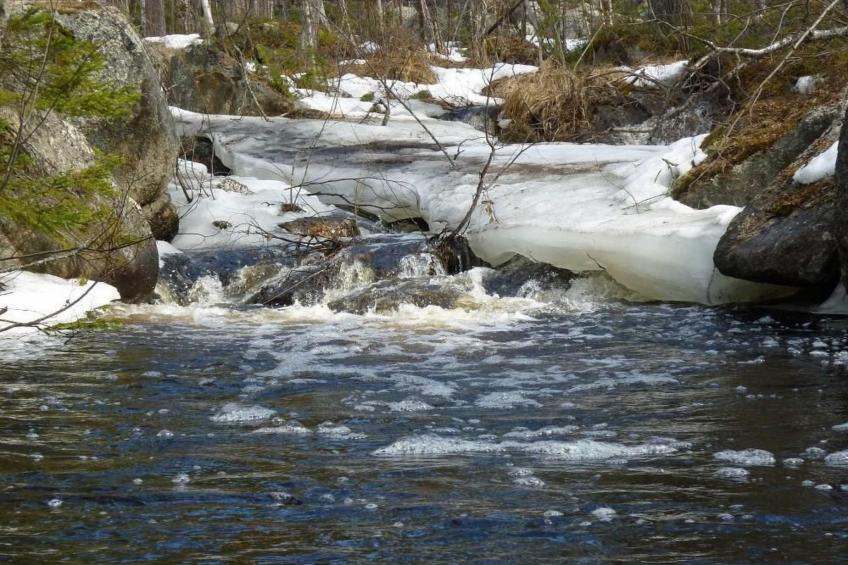 in Sorsele mit Gemeinsamem Garten - foto 15