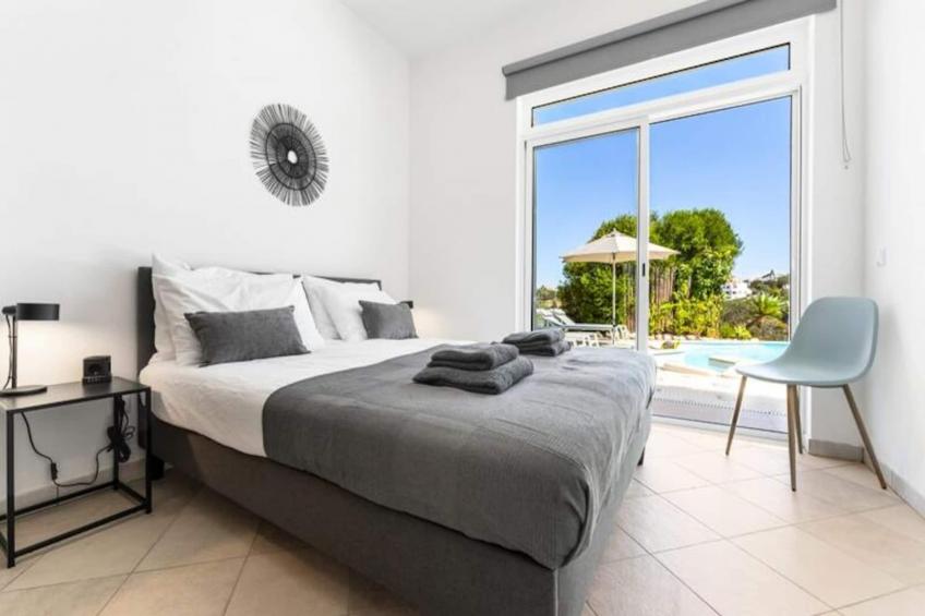 Duas Palmeiras - foto 11