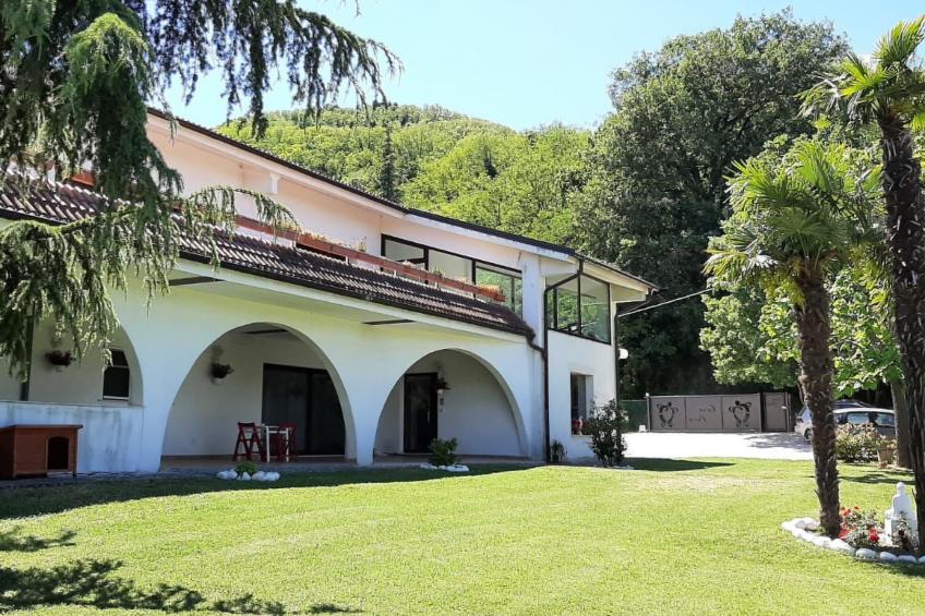 'Dear Peace on the Hill - foto 2