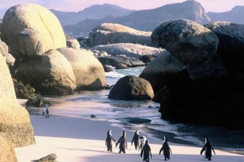 2Oceans Apartments - foto 41