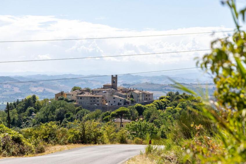 La Pineta Holiday Homes - foto 29