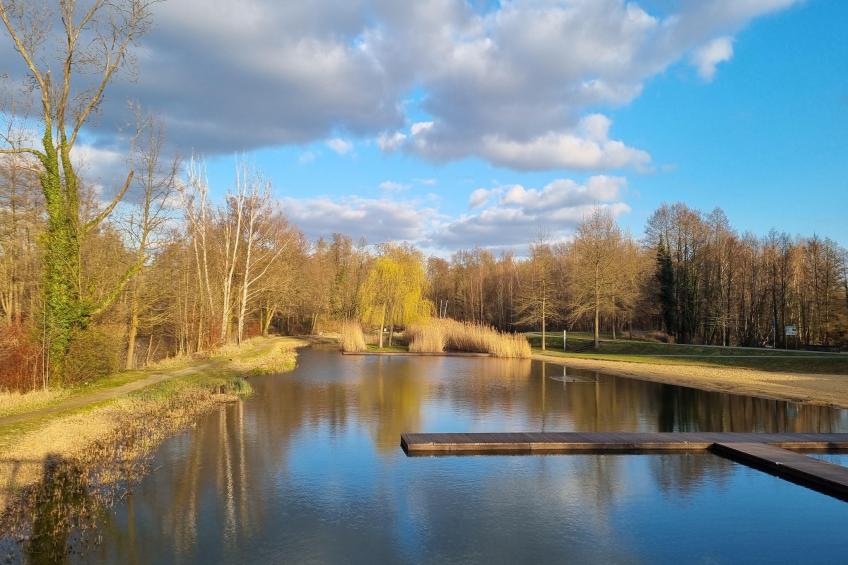 Lehnigksberger Ferienhäuschen - foto 15