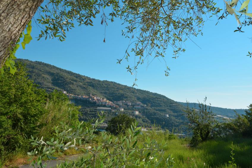 Agriturismo Ca di Nonni (PTB152) - foto 20