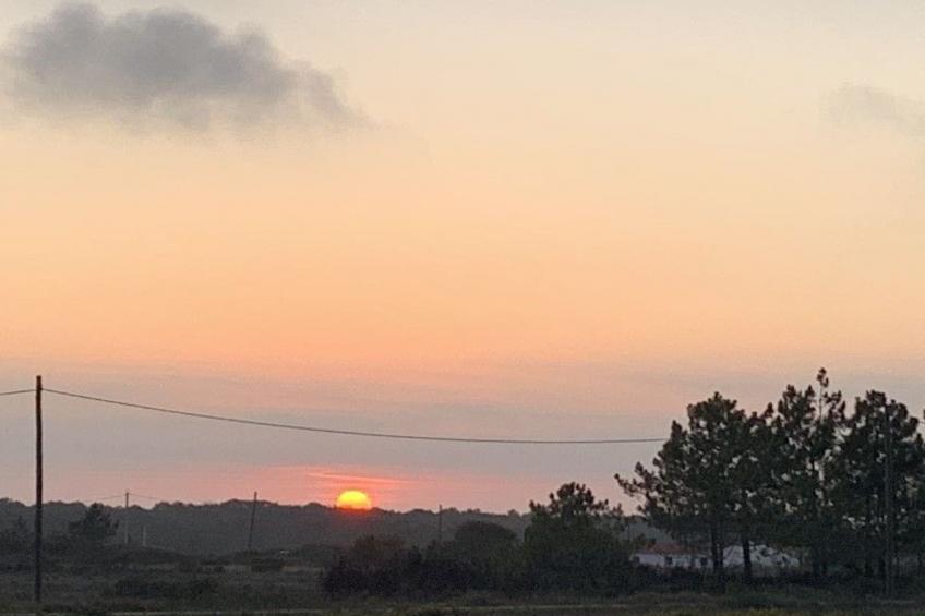 auf dem Lande in der Nähe des Strandes - foto 20