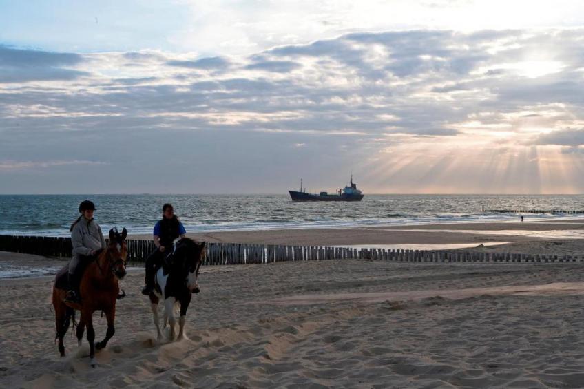 Slaapstrandhuisje - Strand dishoek 68  Dishoek - foto 34