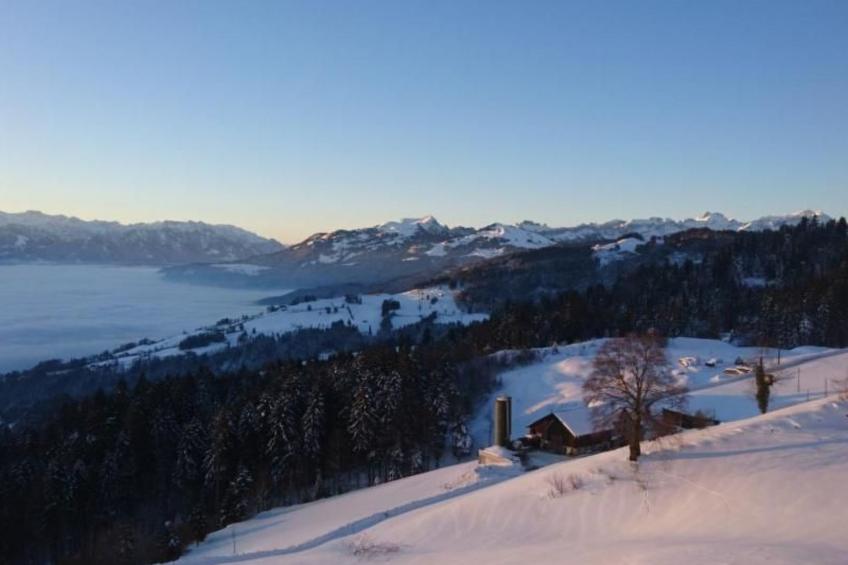 Rheintalblick - foto 13