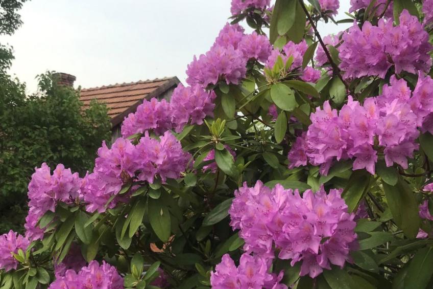 mit Wasserblick - foto 27