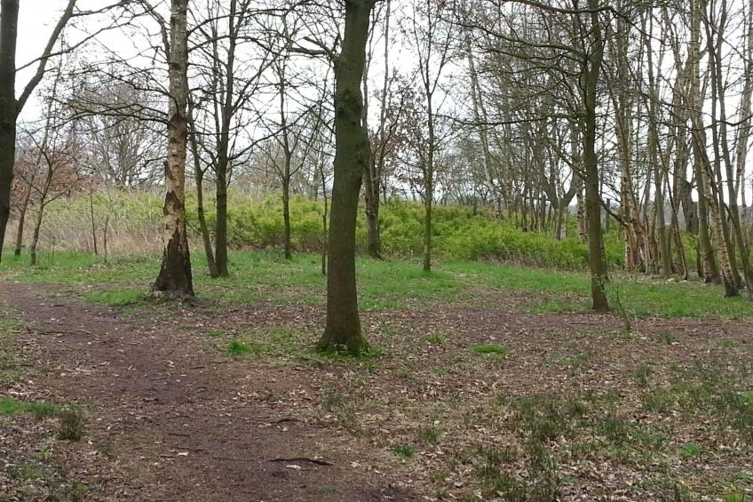 in Bad Bederkesa mit Garten - foto 19