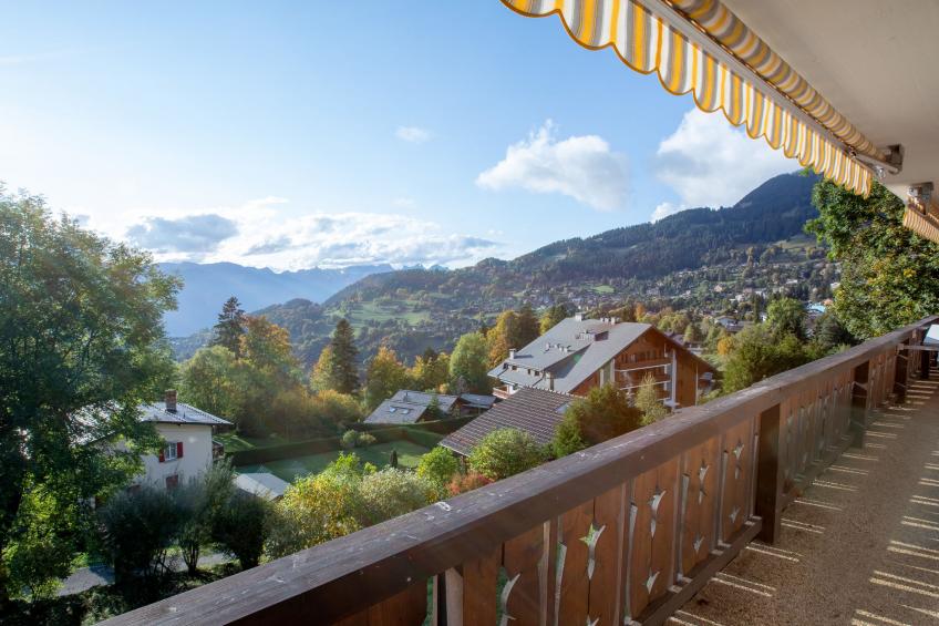 Ambassadeur 1 - foto 4