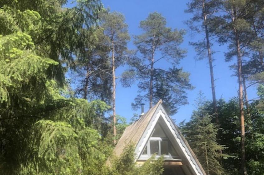 Reetdach Ferienhaus am Lübbesee Sauna Bootsteg neu - foto 29
