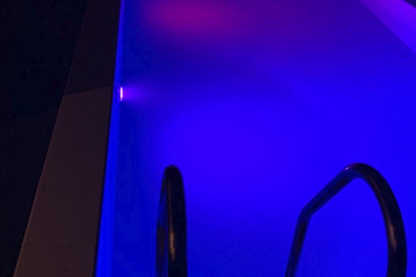 La Finca OliveTree - foto 36