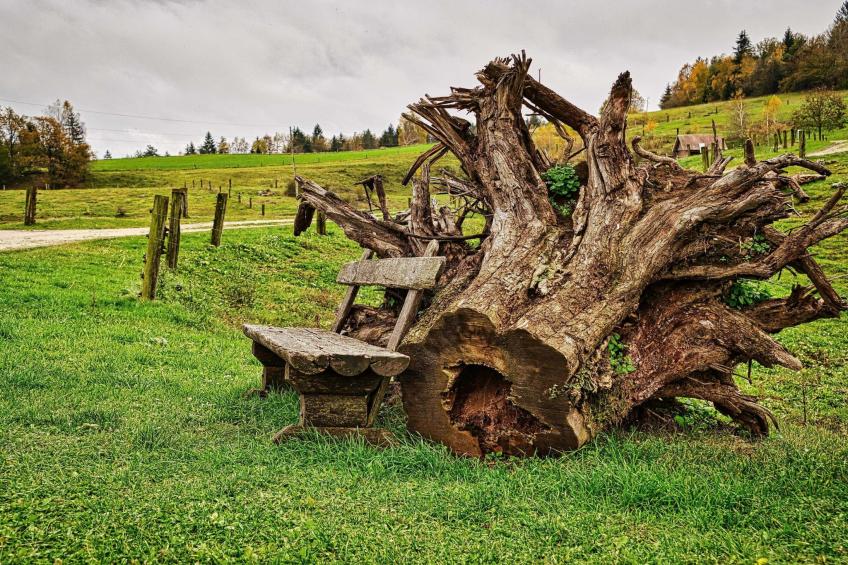 Visnja Gora Meadow Hideaway with Terrace - One Bedroom Cottage with Terrace (owner Hiška na skalci) - foto 38