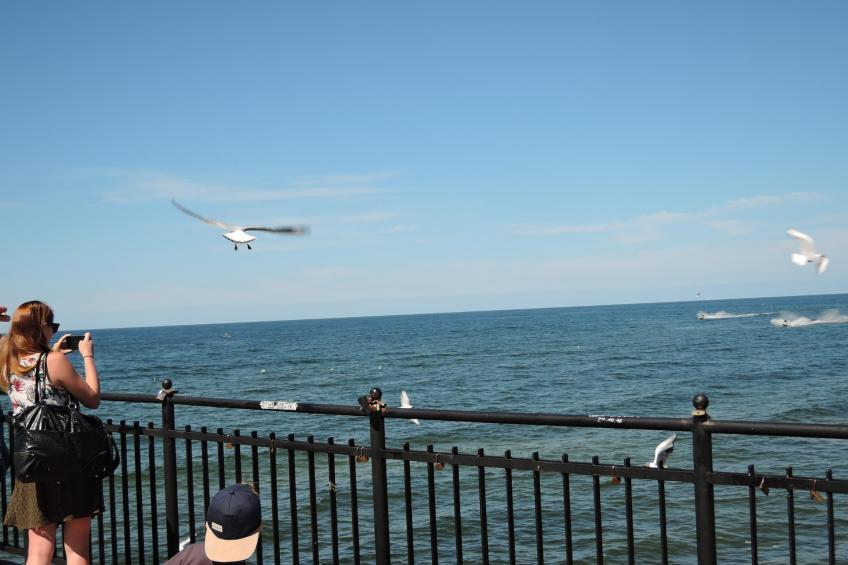 Luksusowy apartament w Międzyzdrojach - foto 20