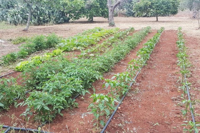 Villa Barone Landhaus mit Pool - foto 38