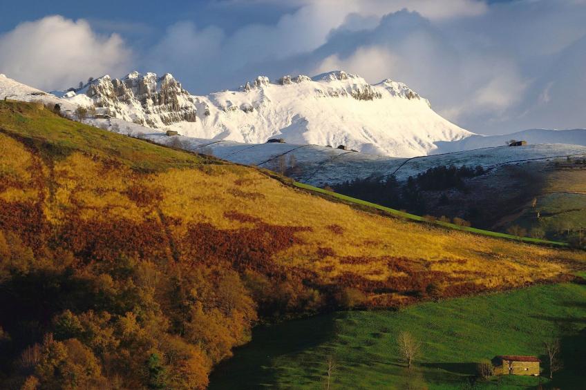 Fachwerkhaus mit Garten - foto 26