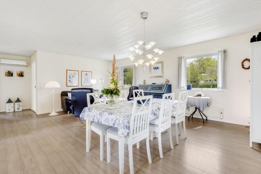 "Mikkeline" - 400m to the inlet in The Liim Fiord - foto 18