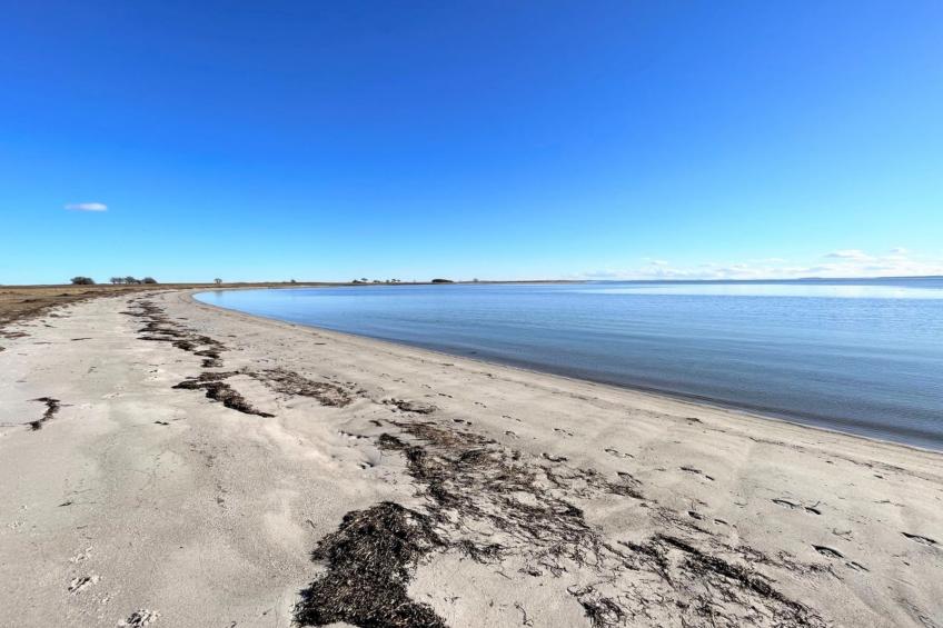 "Toska" - 100m to the inlet in Sealand - foto 21