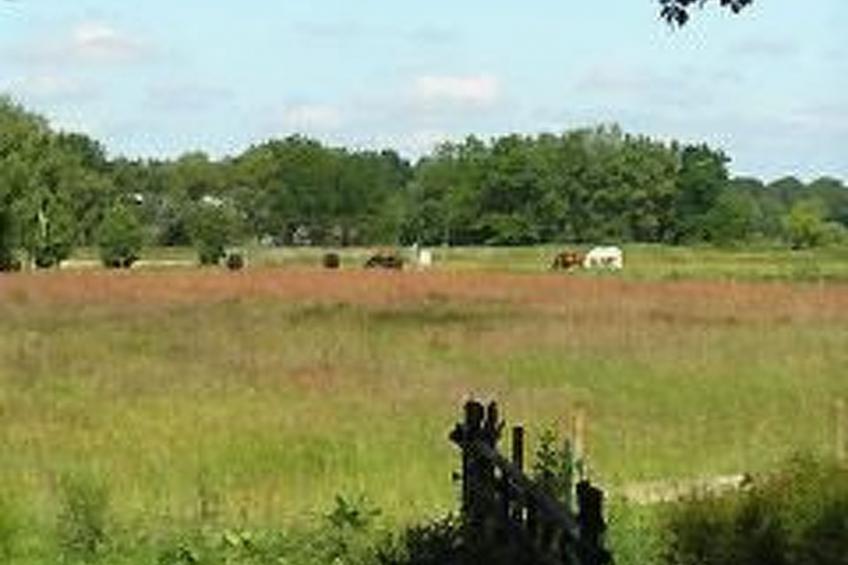 Scheunenwohnung - foto 8