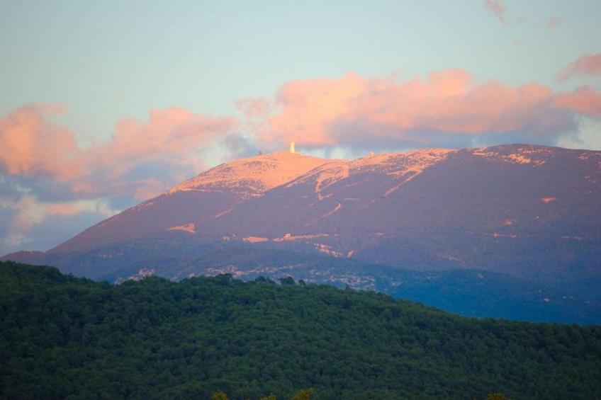 Appartement Geny Avignon - foto 38