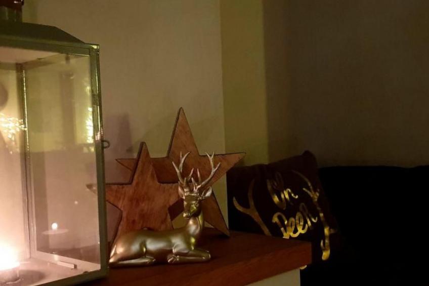 Max Mountain View - foto 14