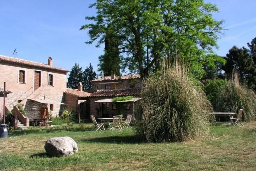 'Black Rooster - foto 3