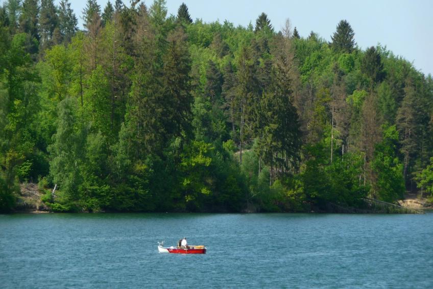 Wilzenberg - foto 37