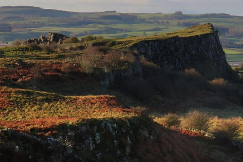 The Wonney's Glamping - foto 26