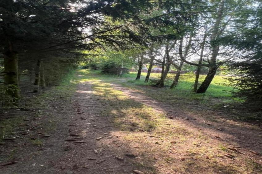 House in the kashubian village - foto 37