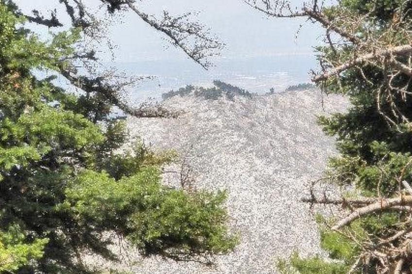 Studio mit Garten - foto 48