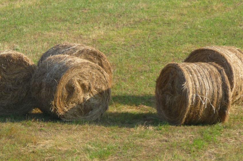 Lindenhaussiedlung mit Gemeinschaftspool - foto 34