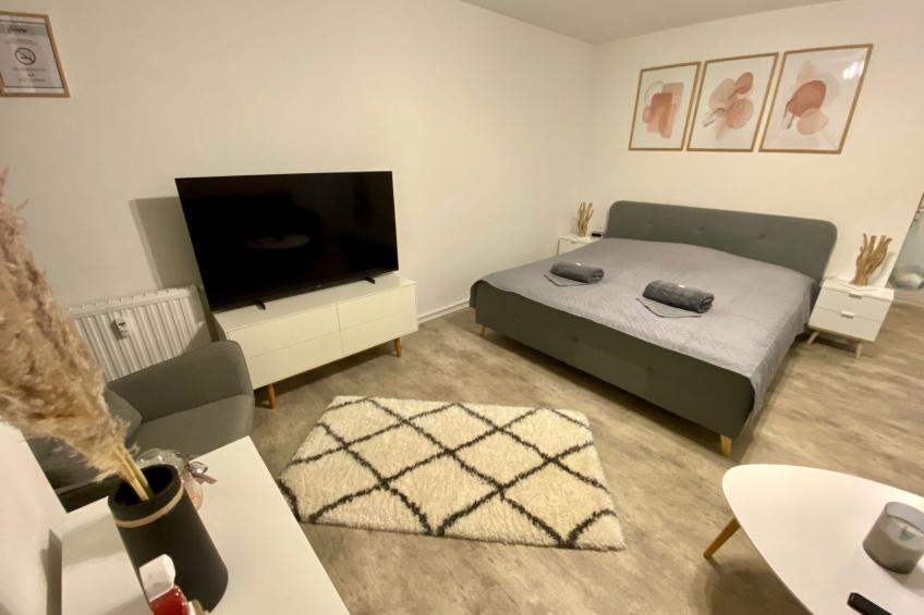 Moderne und gemütliche Ferienwohnung in Zwickau free Wifi und Netflix