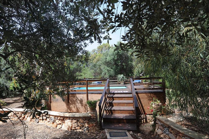 Villa Serena Maria - foto 33