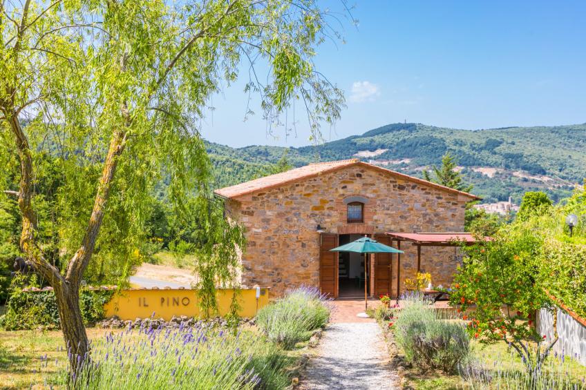 PINO DI SOPRA (CNC132) - foto 60