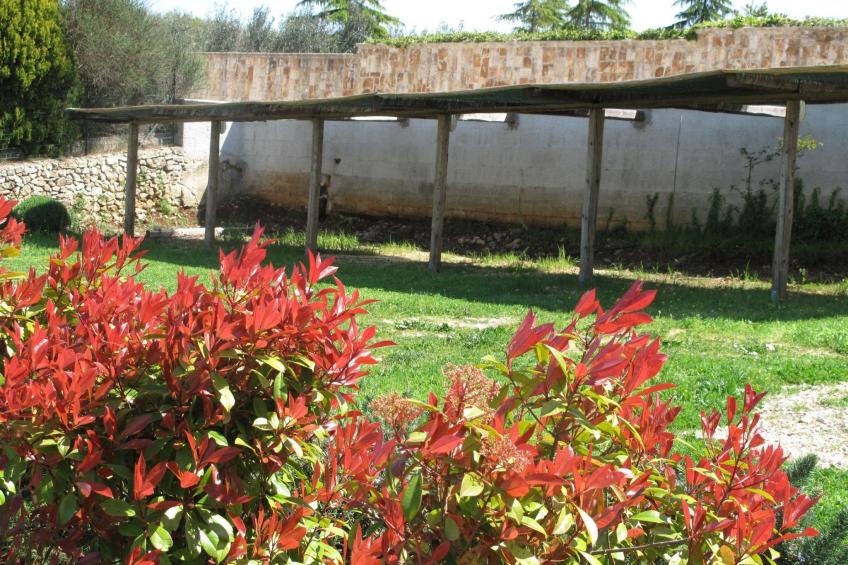 Neue fantastische Casa degli Ulivi privaten Pool - foto 17