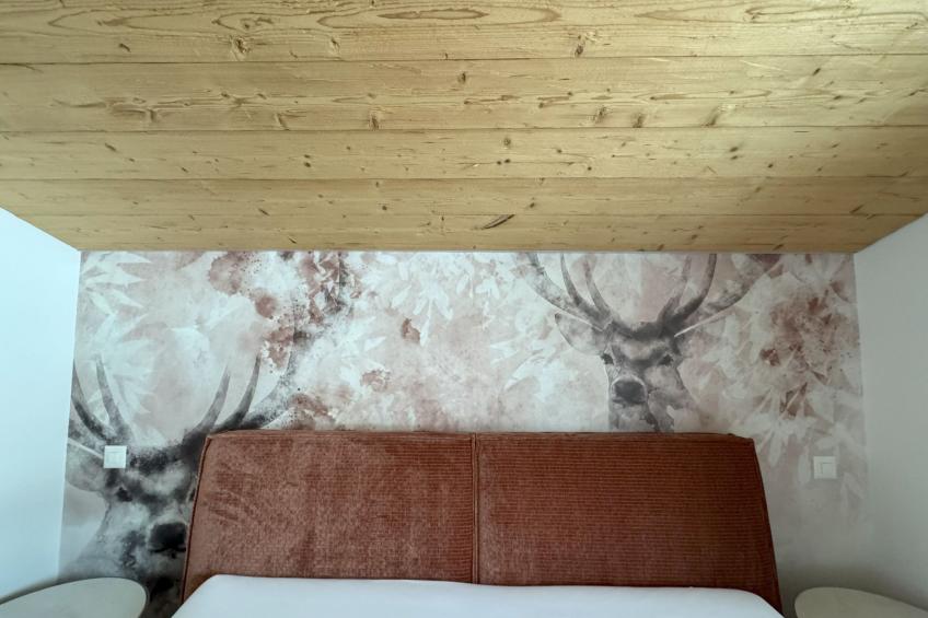 Casa Ladina 4 - foto 24