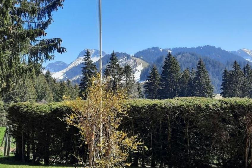 Maiensäss Romantica - foto 16