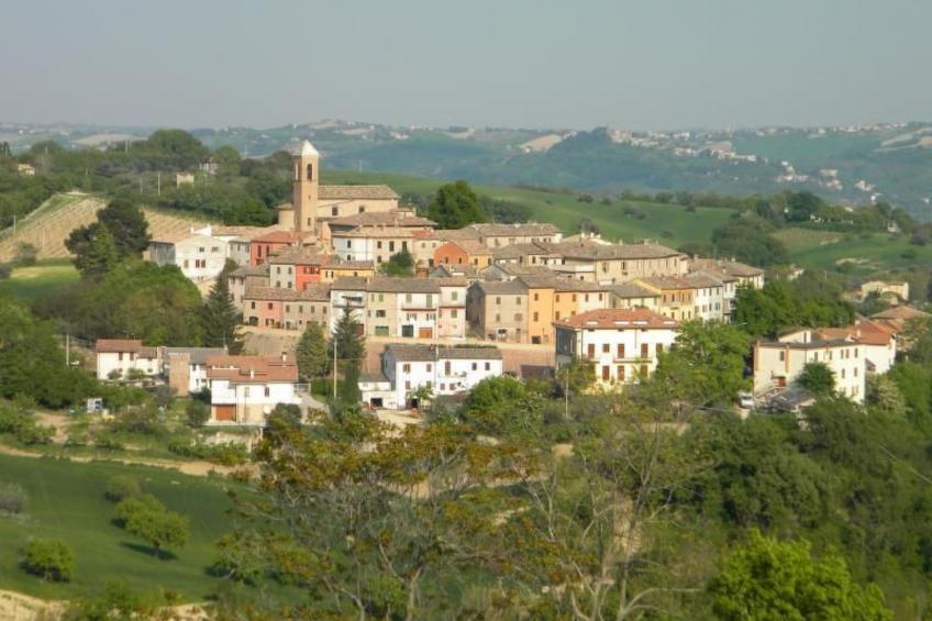 in der Gegend zwischen Meer und Berghang - foto 10