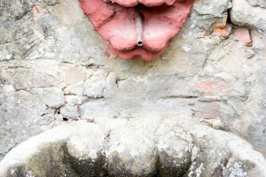 Wohnung 'The Lemon' mit Privatparkplatz - foto 24