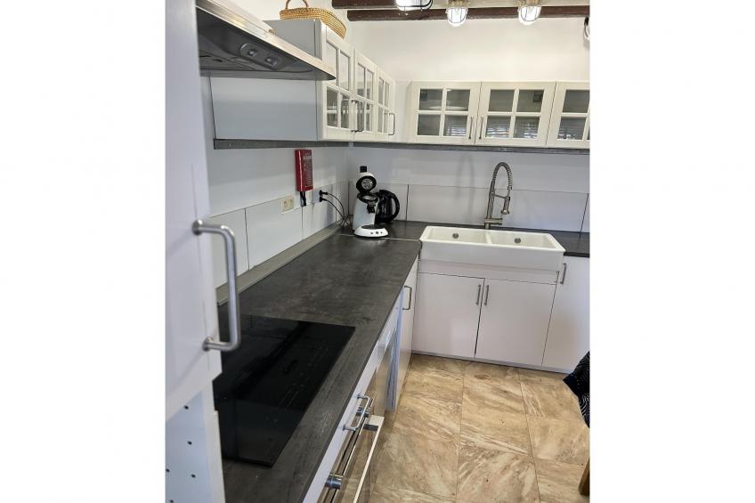 L'Ecureuil Blanc - foto 11