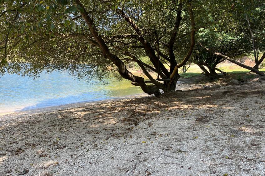 Casa da Lage -Piso 0 - foto 44