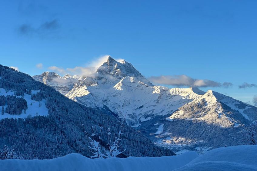 Chalet les Pars - foto 45
