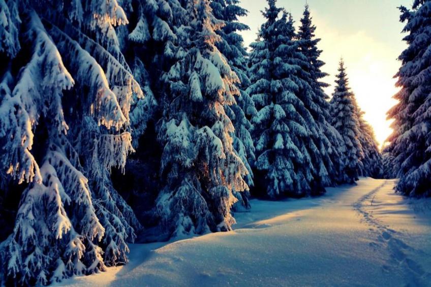 Ferienwohnung Christina - foto 14