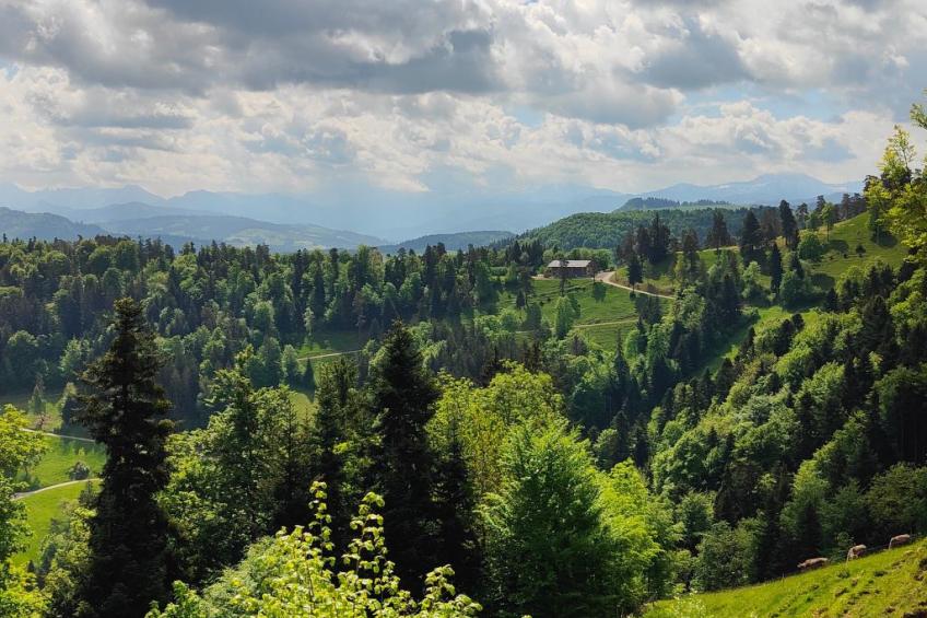 Schlosshöchi - foto 12