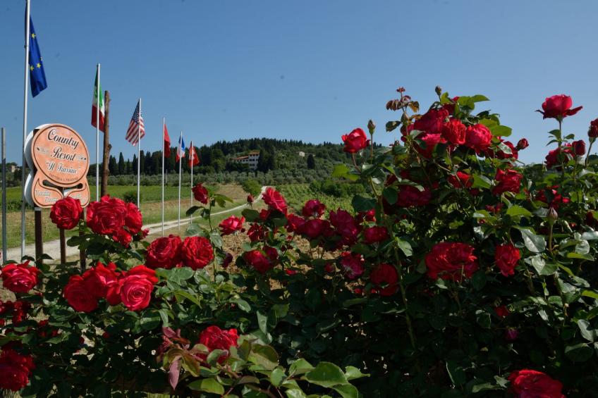 Villa il Frassine - foto 2