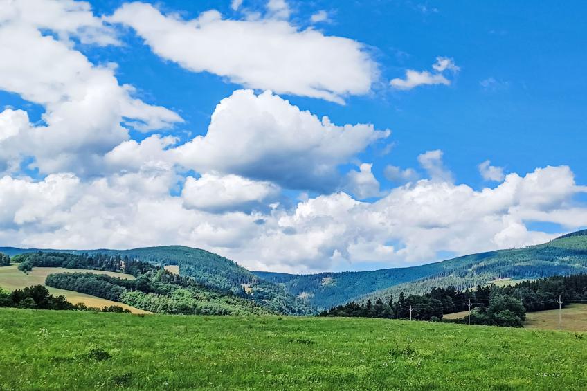 Černý Důl - foto 47
