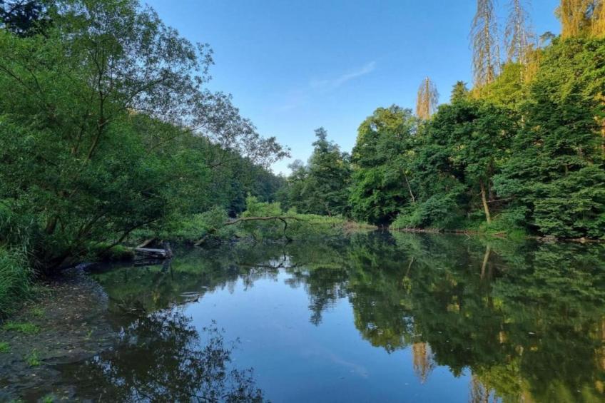 Villa Stastny - foto 30