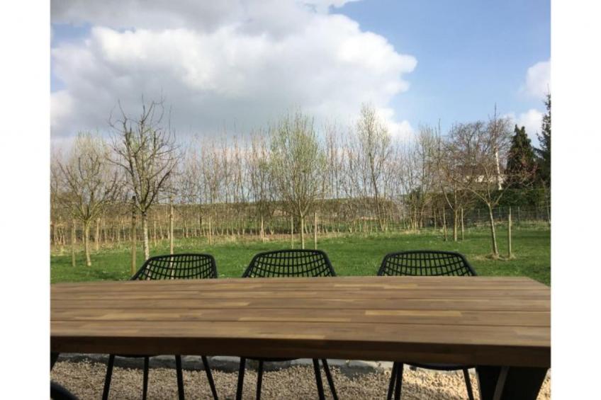 De Smishoeve volledig - met wellness - foto 24